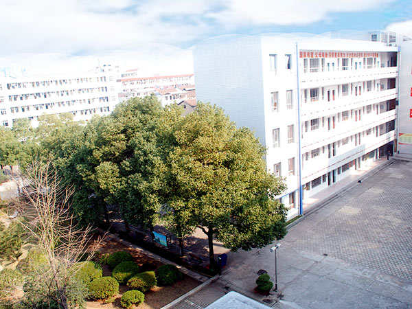 校園環(huán)境 校園環(huán)境