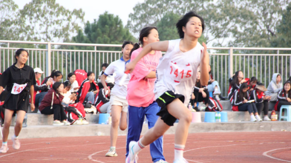 常德德才科技職業(yè)學(xué)校,常德招生就業(yè),電子商務(wù)專業(yè)學(xué)校,專業(yè)學(xué)校報(bào)考哪里好 常德德才科技職業(yè)學(xué)校,常德招生就業(yè),電子商務(wù)專業(yè)學(xué)校,專業(yè)學(xué)校報(bào)考哪里好